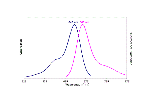 Absorbance and Fluorescence Emission